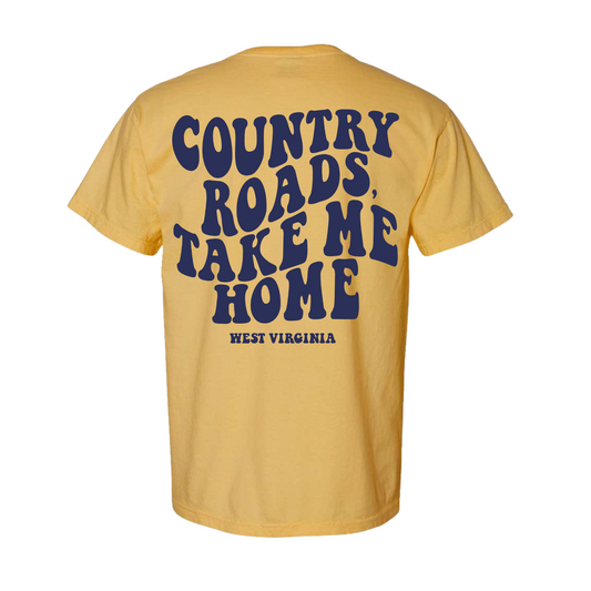 Take Me Home Kids